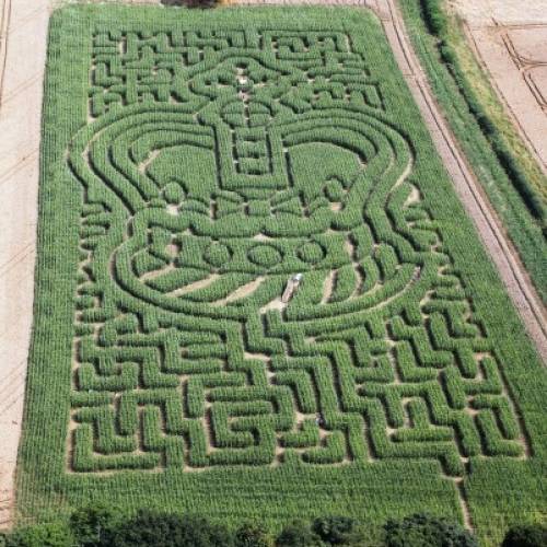 Maize Maze Marking